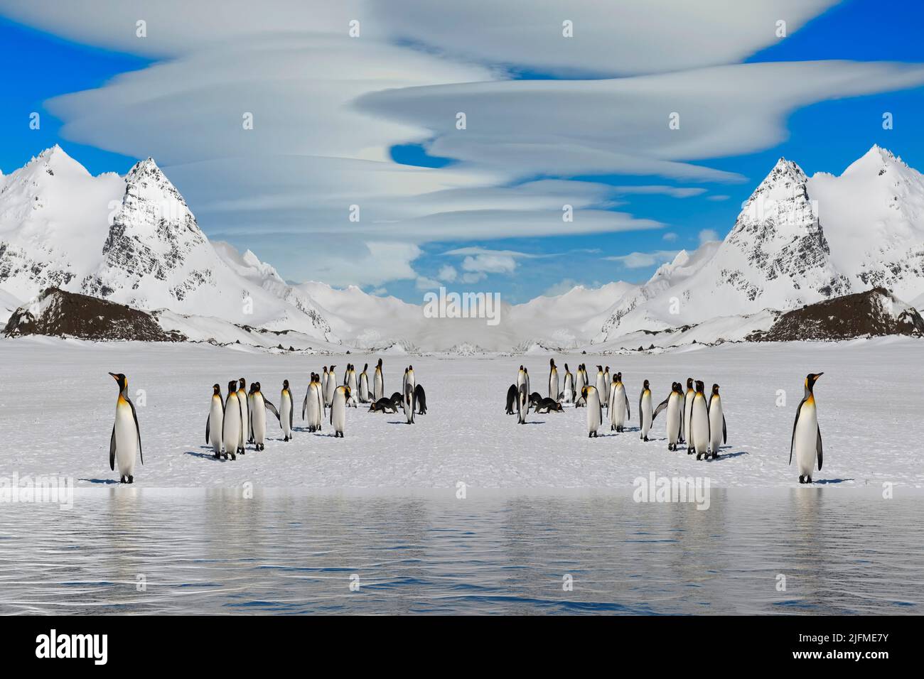 Fotografía de fantasía, pingüinos rey en la Antártida Foto de stock