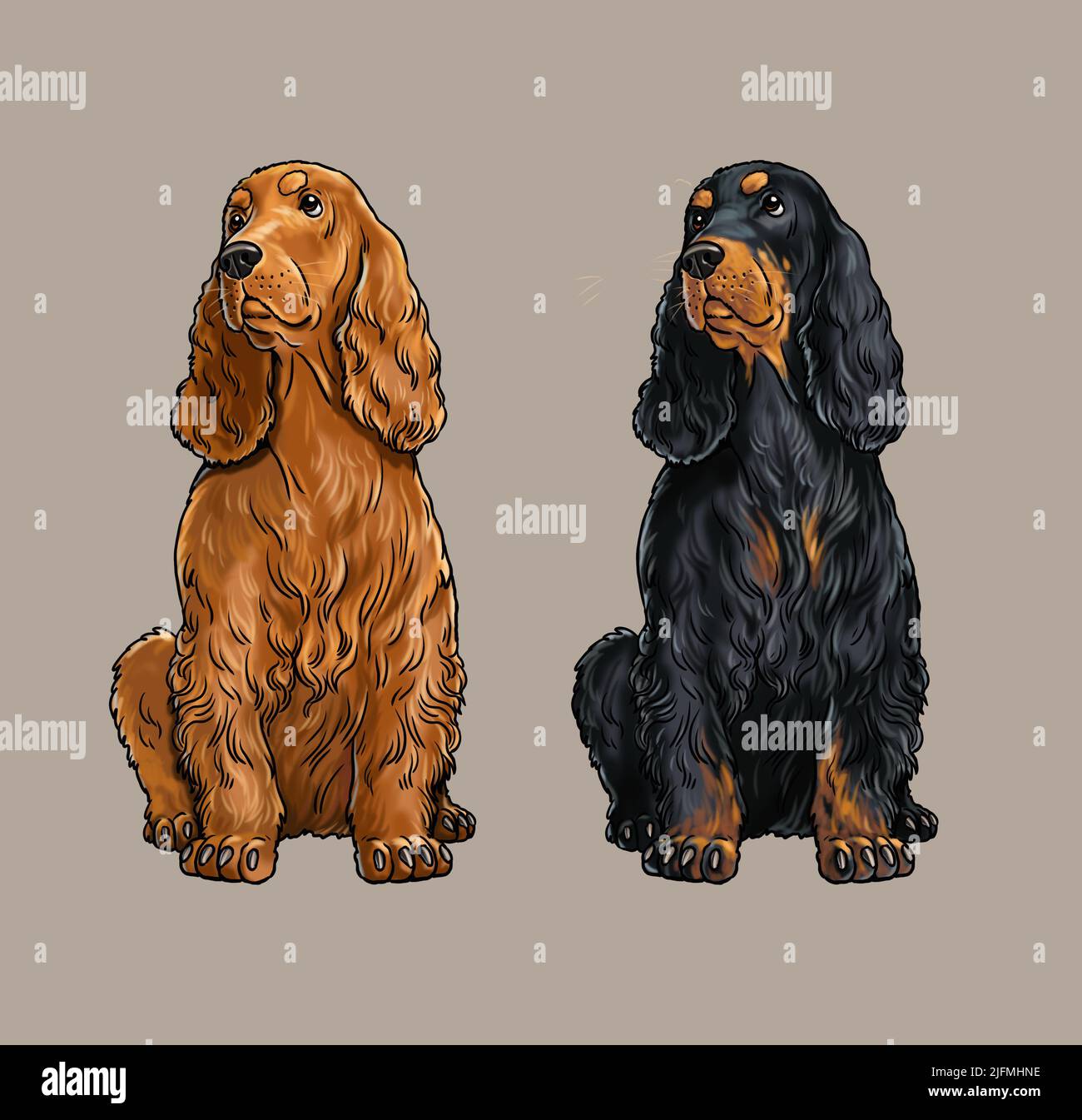 sistemático Antorchas Deducir Dibujo del perro cocker fotografías e imágenes de alta resolución - Alamy