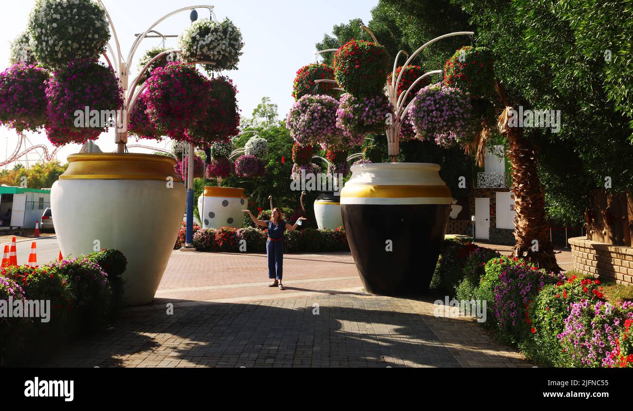 Blumen, Dubai, Miracle Garden, ein Garten mit wunderschönen Pflanzen und Blumen Mitten in der Wüste Foto de stock