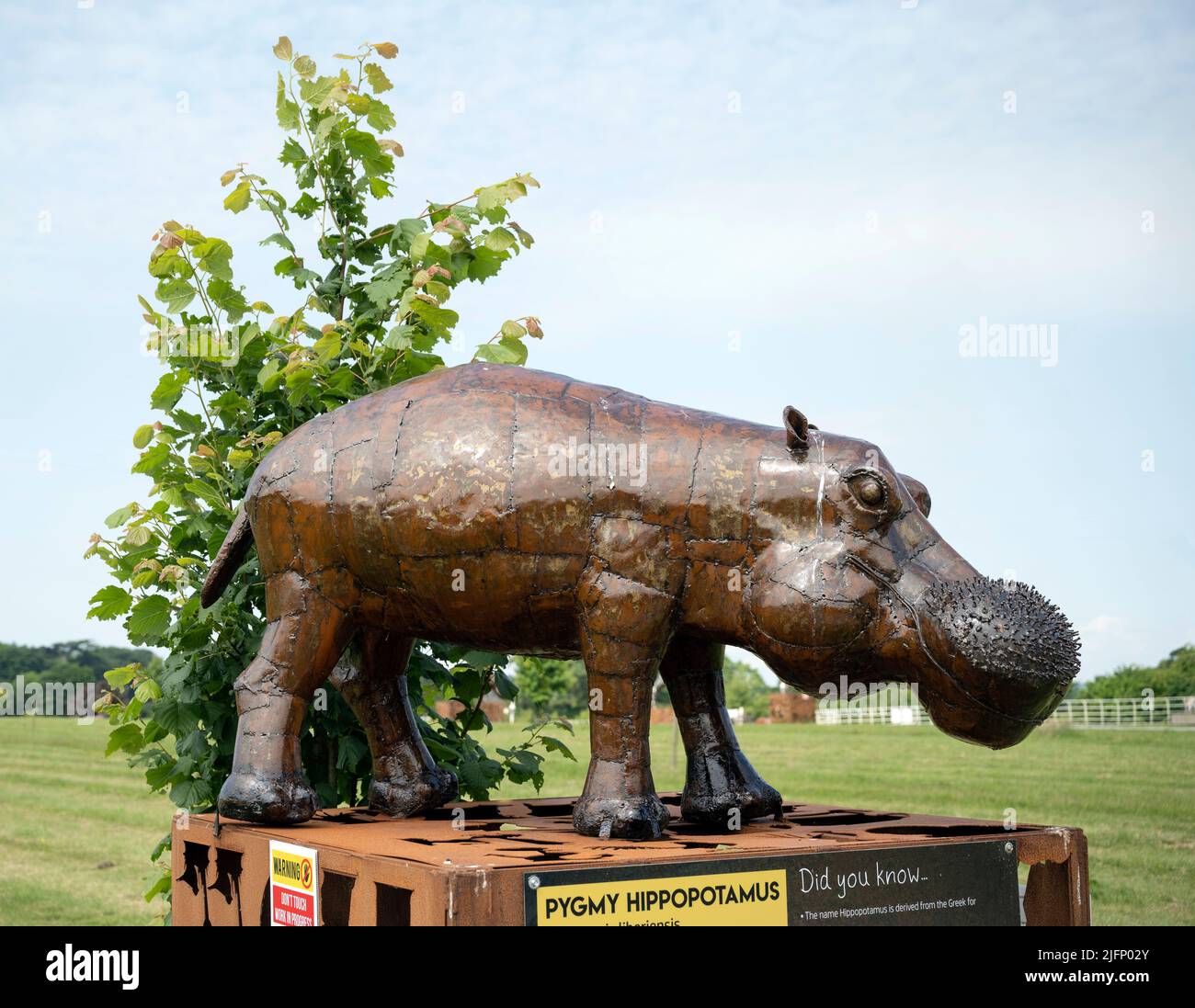 El Centro Británico de Hierro, Exposición/Escultura Pygmy Hippopotamus Foto de stock