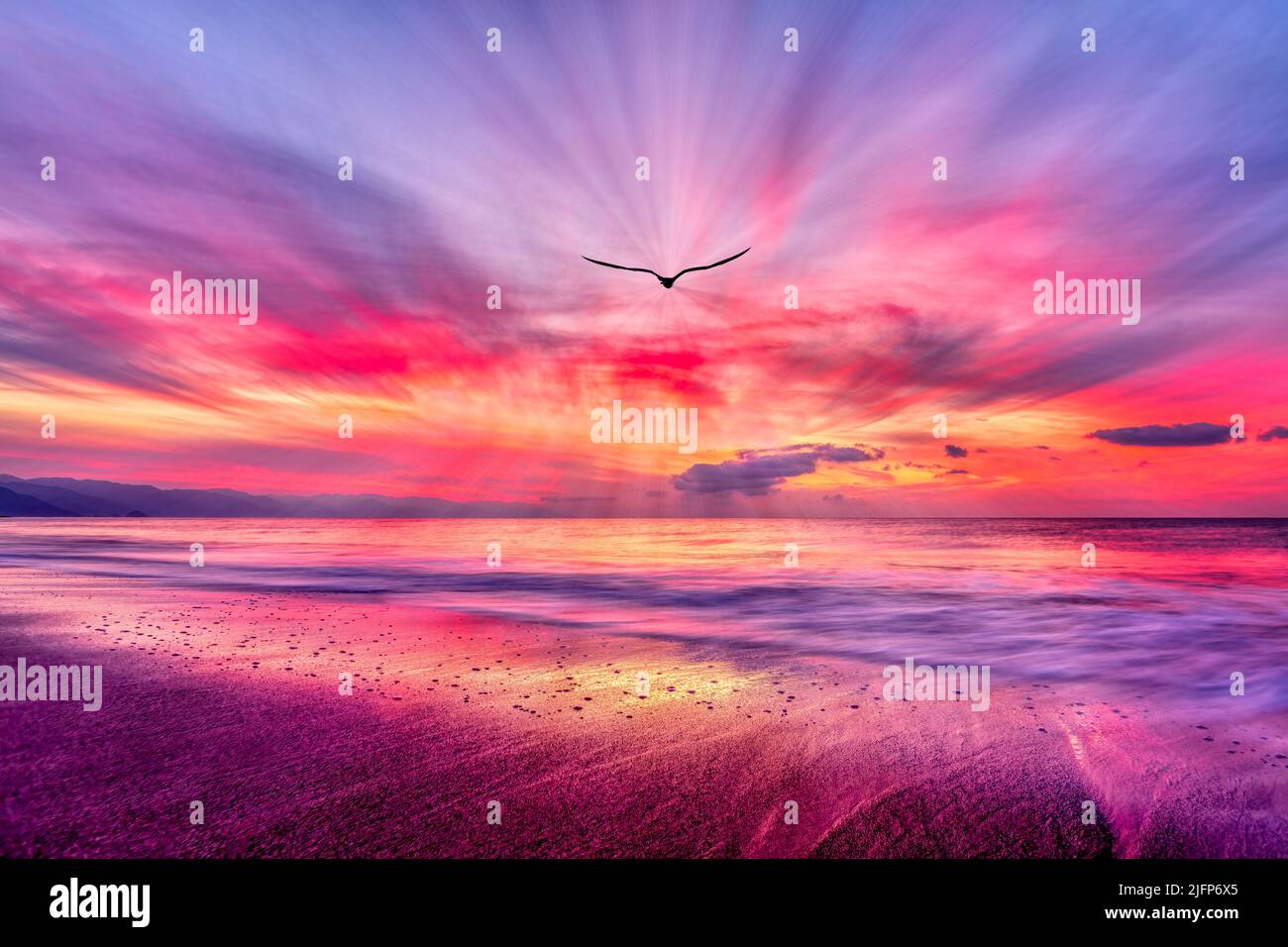 Paisaje del océano Puesta de sol con un pájaro Volando hacia Un cielo romántico y colorido en una imagen de alta resolución Foto de stock