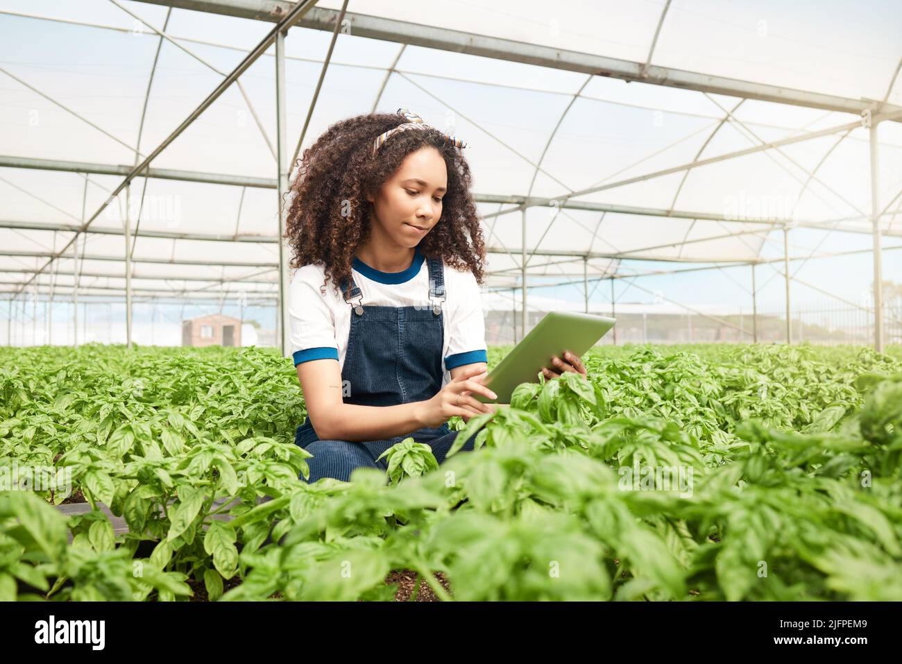 Incorporación de nuevos métodos y técnicas. Fotografía de una mujer joven usando una tableta digital mientras trabajaba en una granja. Foto de stock