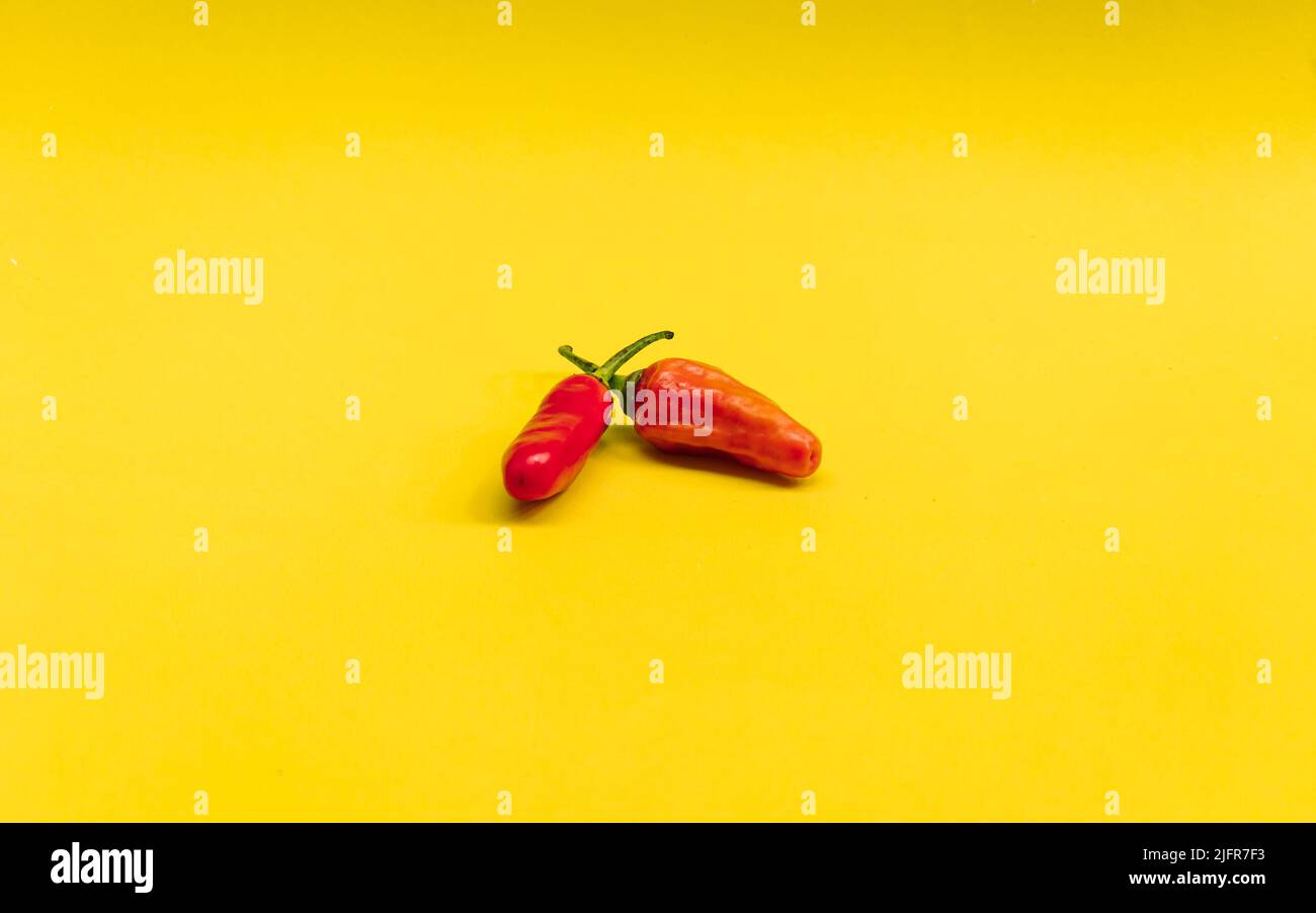 foto de primer plano de chile rojo con fondo amarillo aislado Foto de stock