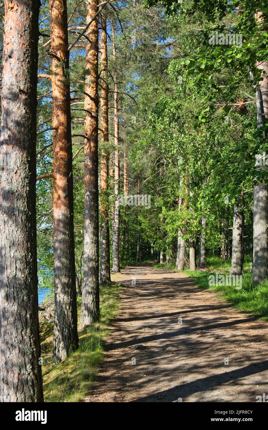 Camino en el soleado parque, Imatra Finlandia Foto de stock