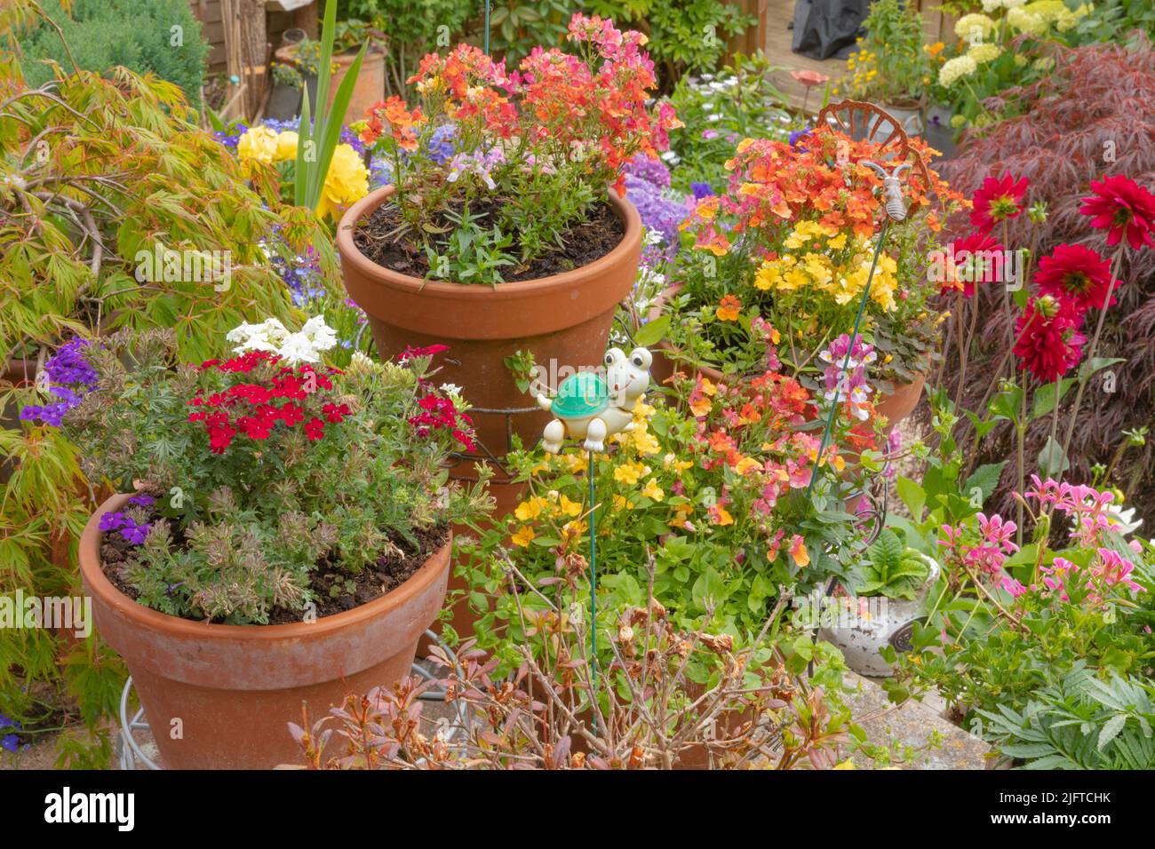 Macetas de la planta que contienen, nemesia fragante y verbena apoyado en un soporte de planta de patio enmarcado de metal Foto de stock