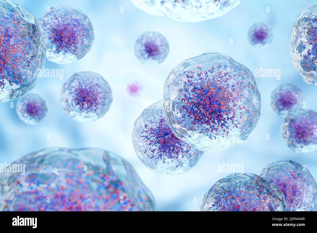 Glóbulos blancos con núcleo y gránulo . Membrana celular de transparencia . Antecedentes del concepto médico y científico . 3D Presentación . Foto de stock