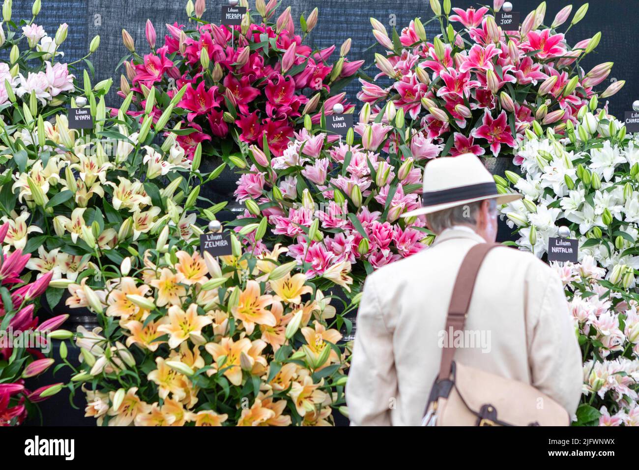 El RHS Hampton Court Palace Garden Flower Show 2022 abre hoy y dura hasta el sábado 9th de julio. En la foto: Los visitantes observan las exhibiciones de flores en el FL Foto de stock