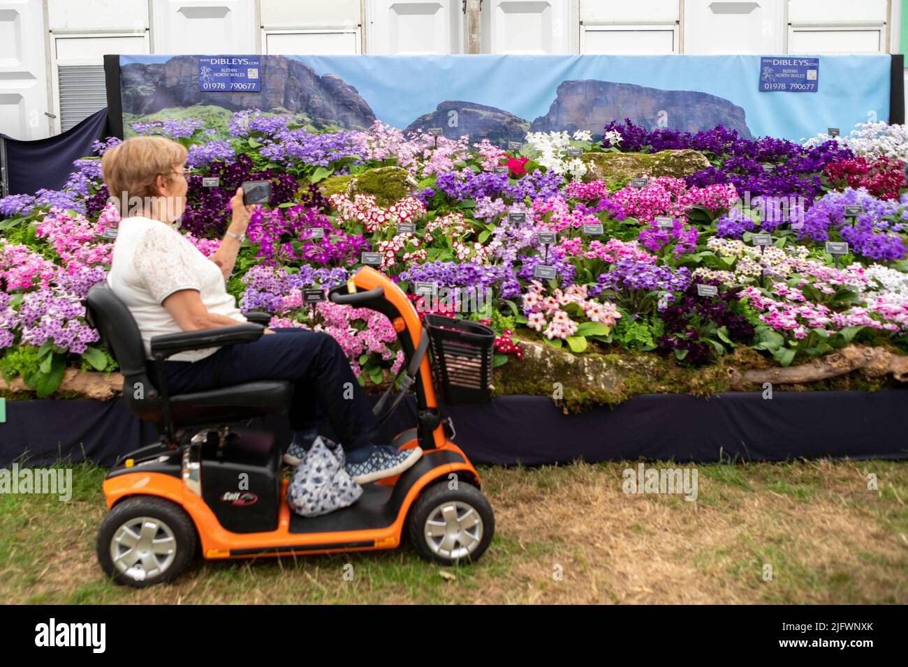 El RHS Hampton Court Palace Garden Flower Show 2022 abre hoy y dura