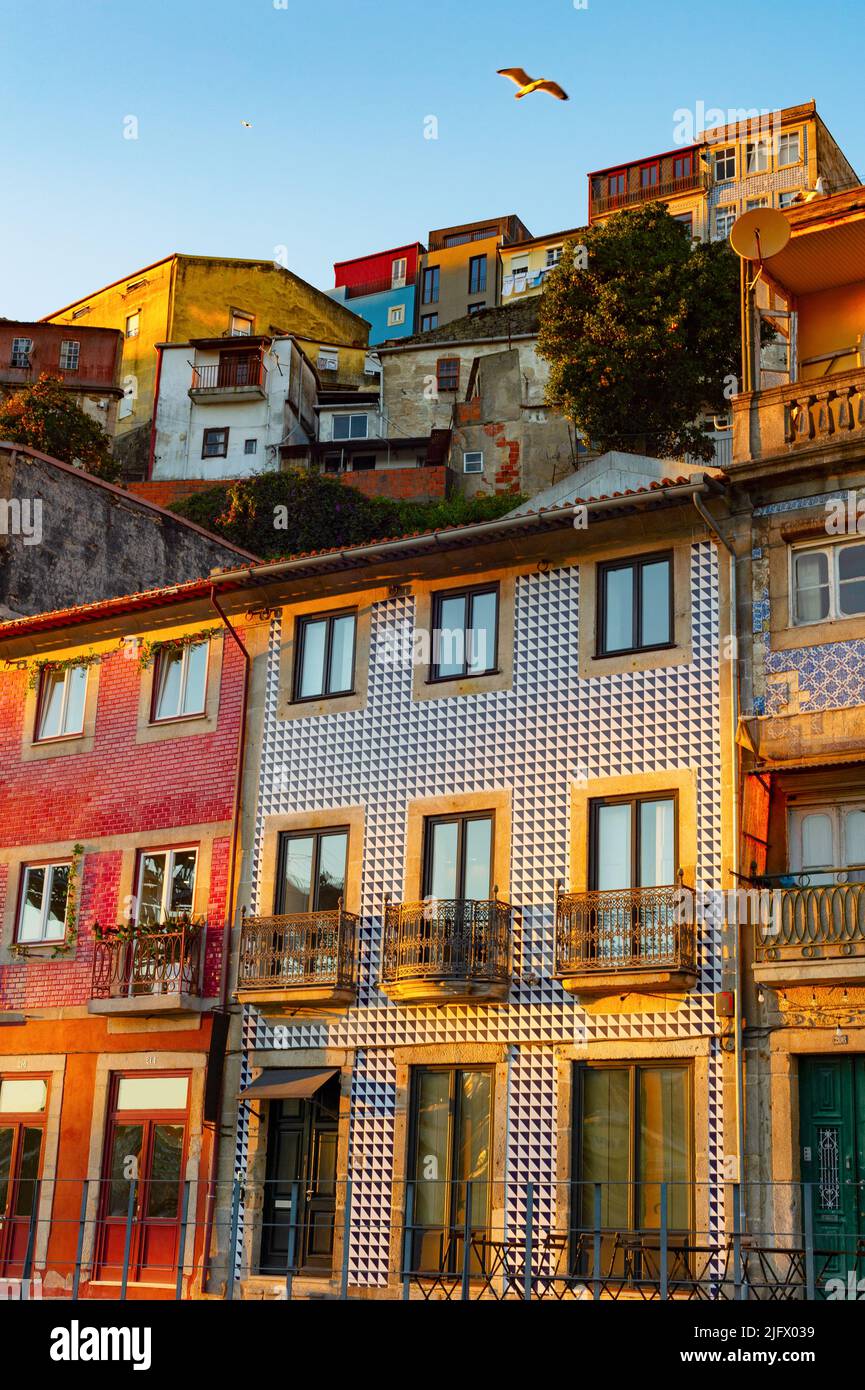Arquitectura de la ciudad antigua con fachadas de baldosa a la luz del atardecer, Oporto, Portugal Foto de stock