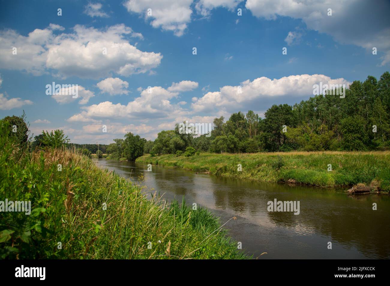 Río Neisse, ruta ciclista Oder-Neisse, Lusatia, Alemania Foto de stock