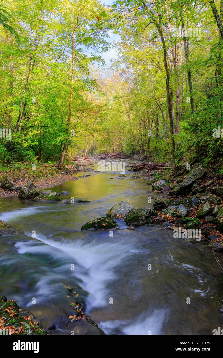 66745-05309 Laurel Creek en otoño del Parque Nacional Great Smoky Mountains TN Foto de stock