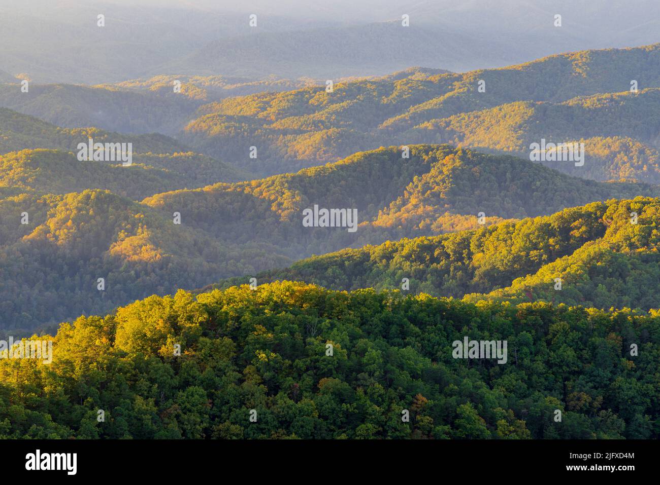 66745-05603 Amanecer en Foothills Parkway Parque Nacional Great Smoky Mountains TN Foto de stock