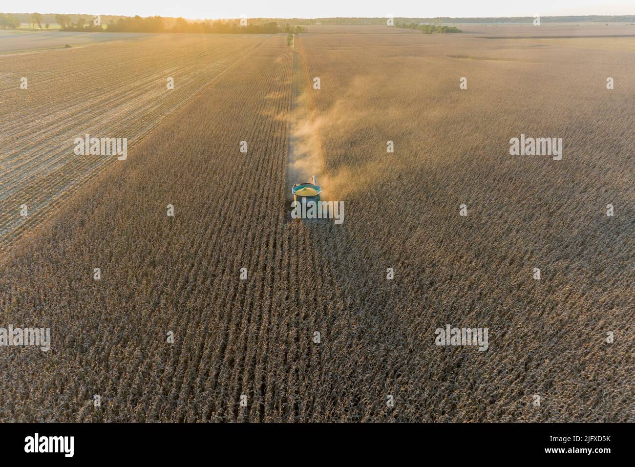 63801-21918 Agricultor cosechando maíz en Sunset Marion Co. Il Foto de stock