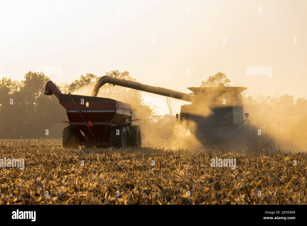 63801-21908 Agricultor cosechando maíz en Sunset Marion Co. Il Foto de stock