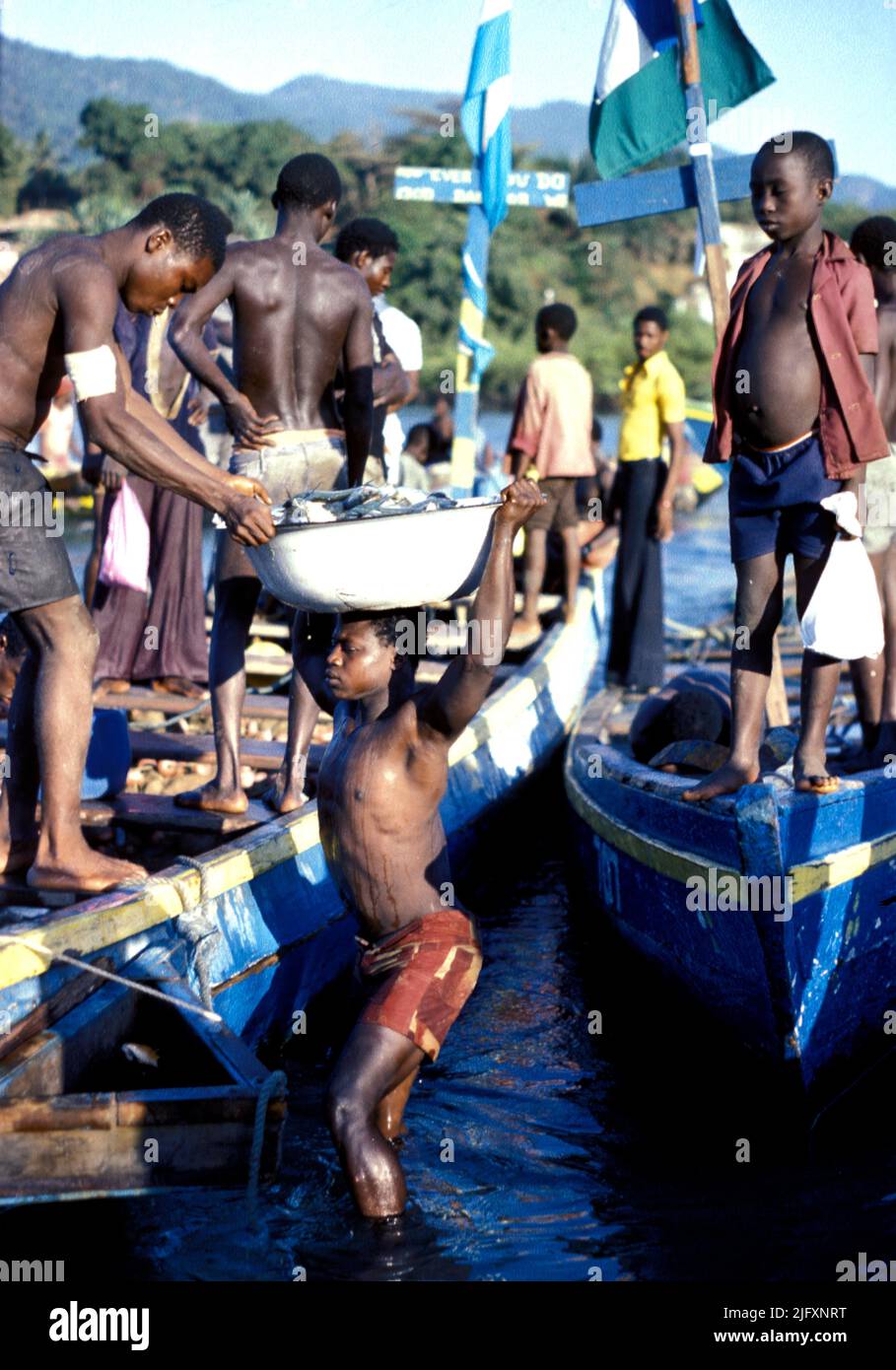 Pescadores descargando sus capturas en Bo Bo, en Sierra Leona, África occidental Foto de stock