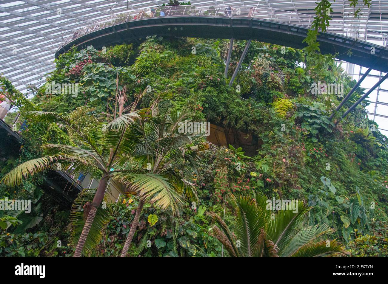 Bosque nuboso biodome en Gardens by the Bay, Singapur Foto de stock