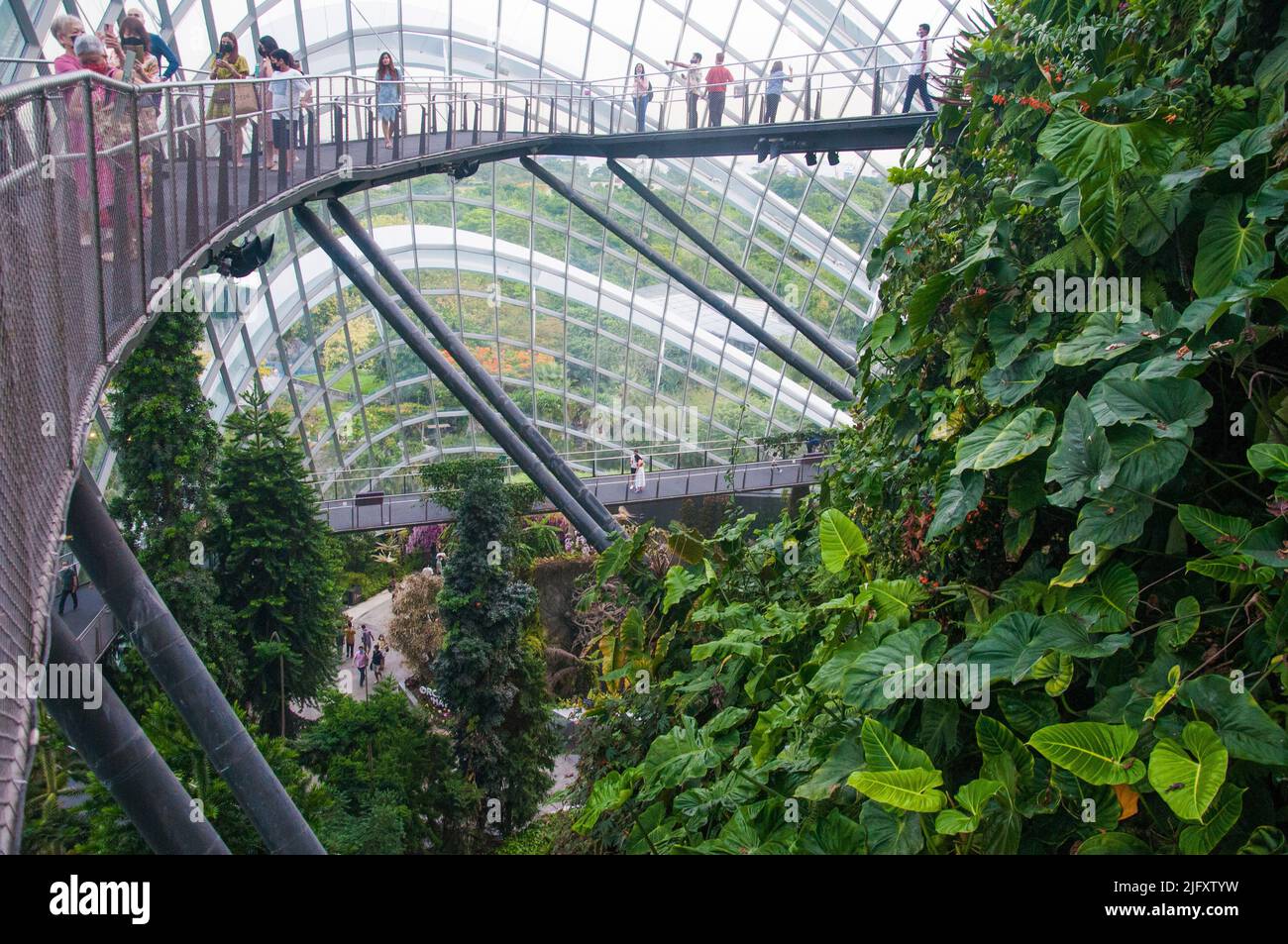 Bosque nuboso biodome en Gardens by the Bay, Singapur Foto de stock