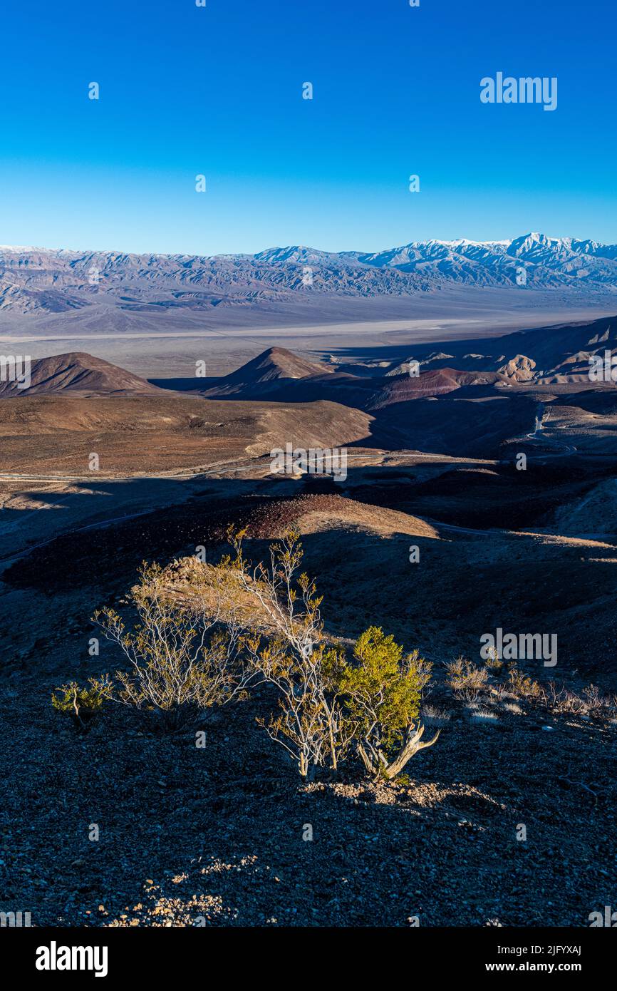 Vista sobre el Valle de la Muerte, California, Estados Unidos de América, América del Norte Foto de stock
