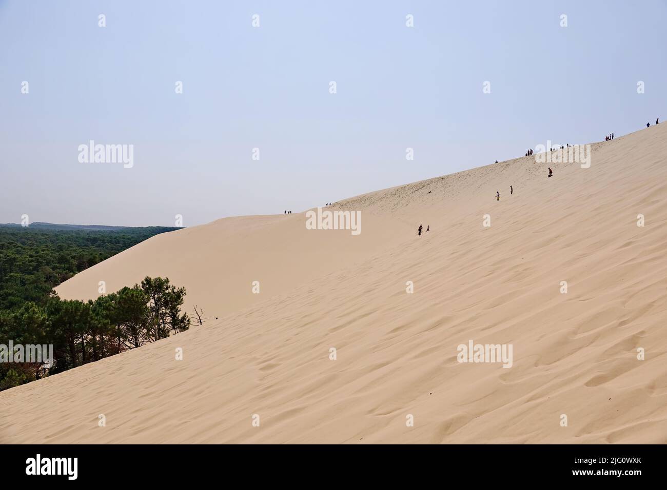 Dune du Pyla - la duna de arena más grande de Europa, Aquitania, Francia - Agosto de 2018 Foto de stock