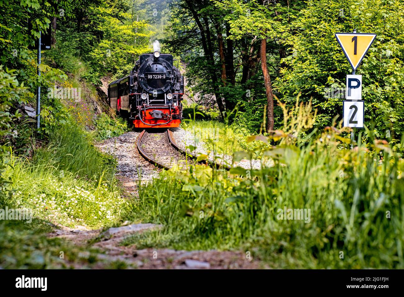 Selketalbahn im Harz Foto de stock