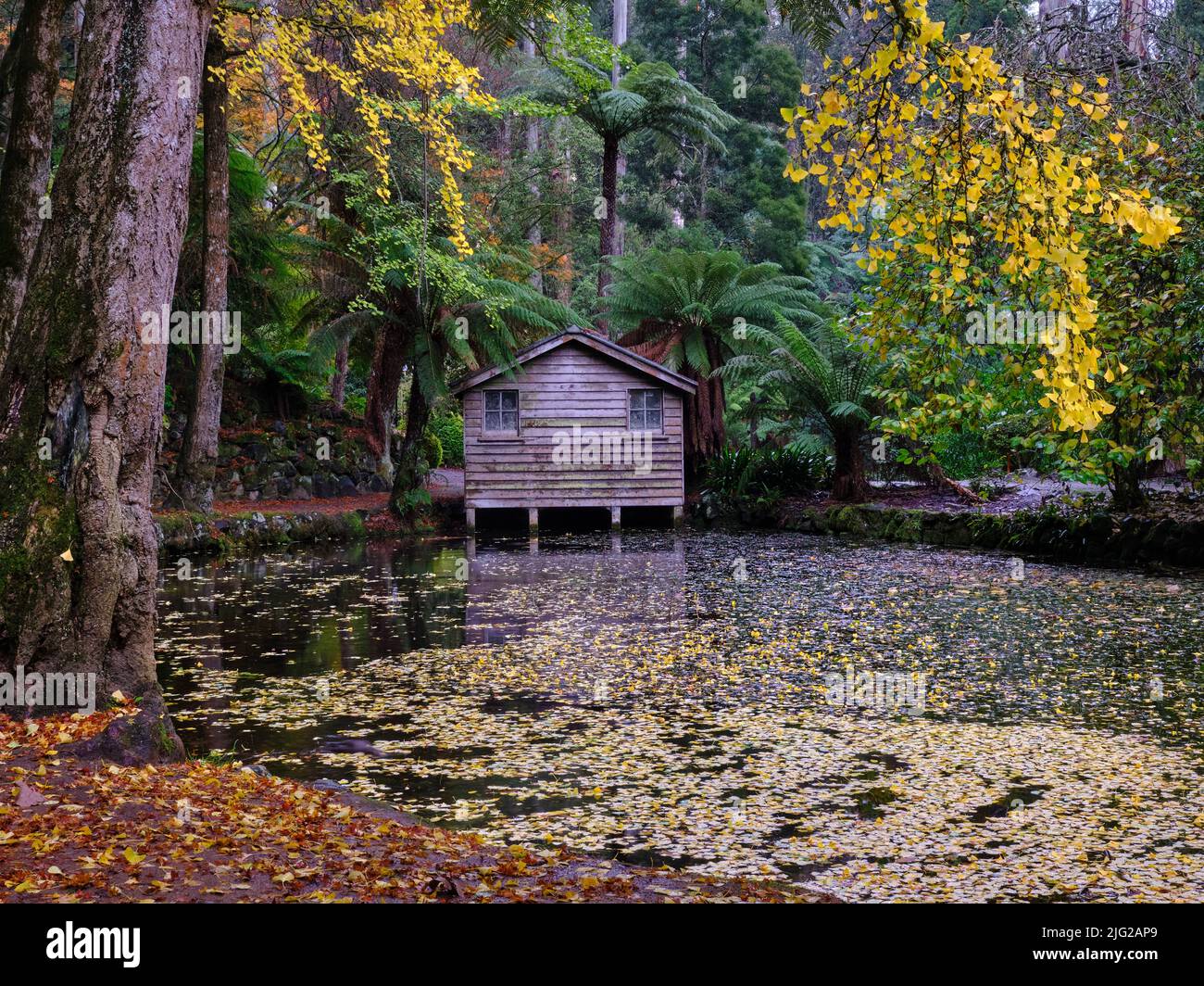 El Boathouse en otoño Foto de stock