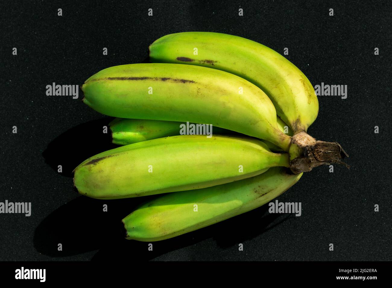 Paquete de plátanos verdes frescos aislados sobre fondo negro. Enfoque selectivo en la capa superior con desenfoque de fondo. Foto de stock