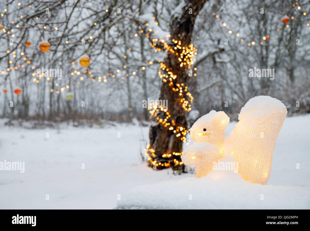 Figurilla acrílica de ardilla artificial iluminada como decoración de Navidad al aire libre en el jardín de la casa, luces de fiesta LED envueltas alrededor del árbol de manzana. Foto de stock
