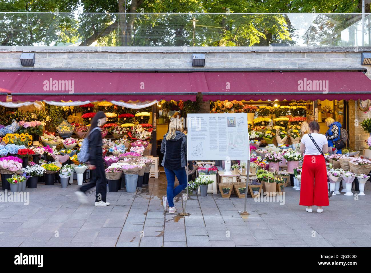 La gente compra flores en los puestos del mercado de flores de Tallinn, justo fuera de la puerta Viru al casco antiguo, el centro de Tallinn, Tallinn Estonia Foto de stock