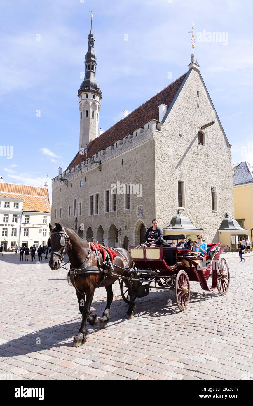 Viaje a Estonia; un turista en un paseo a caballo y en carruaje frente al Ayuntamiento medieval de Tallinn en vacaciones de verano, el casco antiguo de Tallinn, Tallinn Estonia Foto de stock