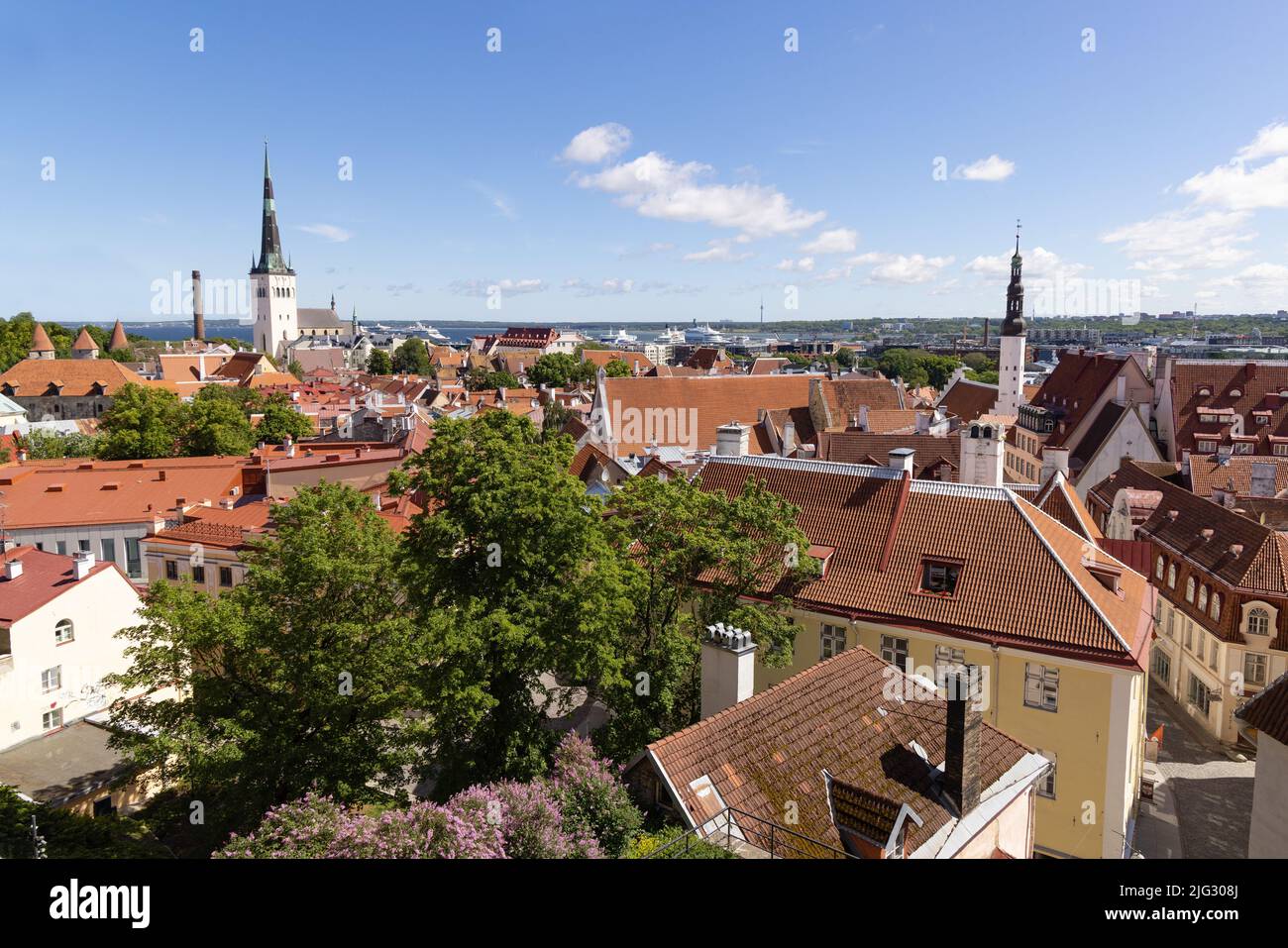 Horizonte de Tallinn; vista del casco antiguo de Tallinn con vistas al puerto desde Toompea Hill en verano; viajes a Tallinn Estonia; Europa Foto de stock