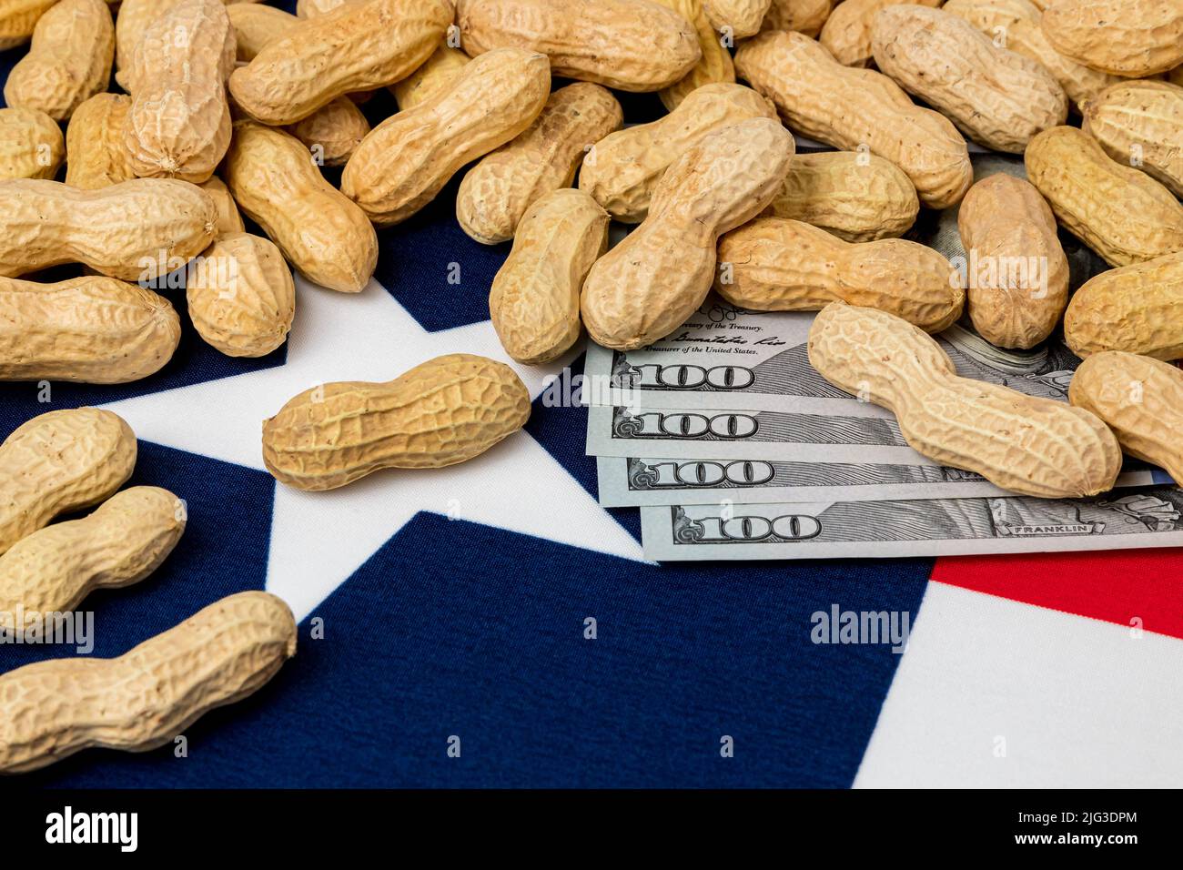 Cacahuetes en cáscara en bandera de Texas con billetes de 100 dólares. Concepto de cultivo de cacahuetes, comercio, aranceles y precios de mercado. Foto de stock