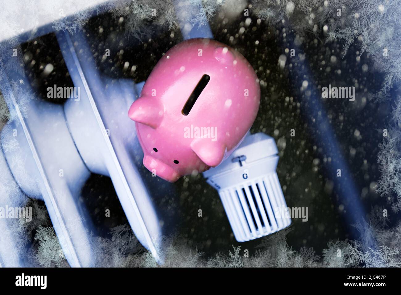 Banco de cerdos en un radiador y nevadas Foto de stock