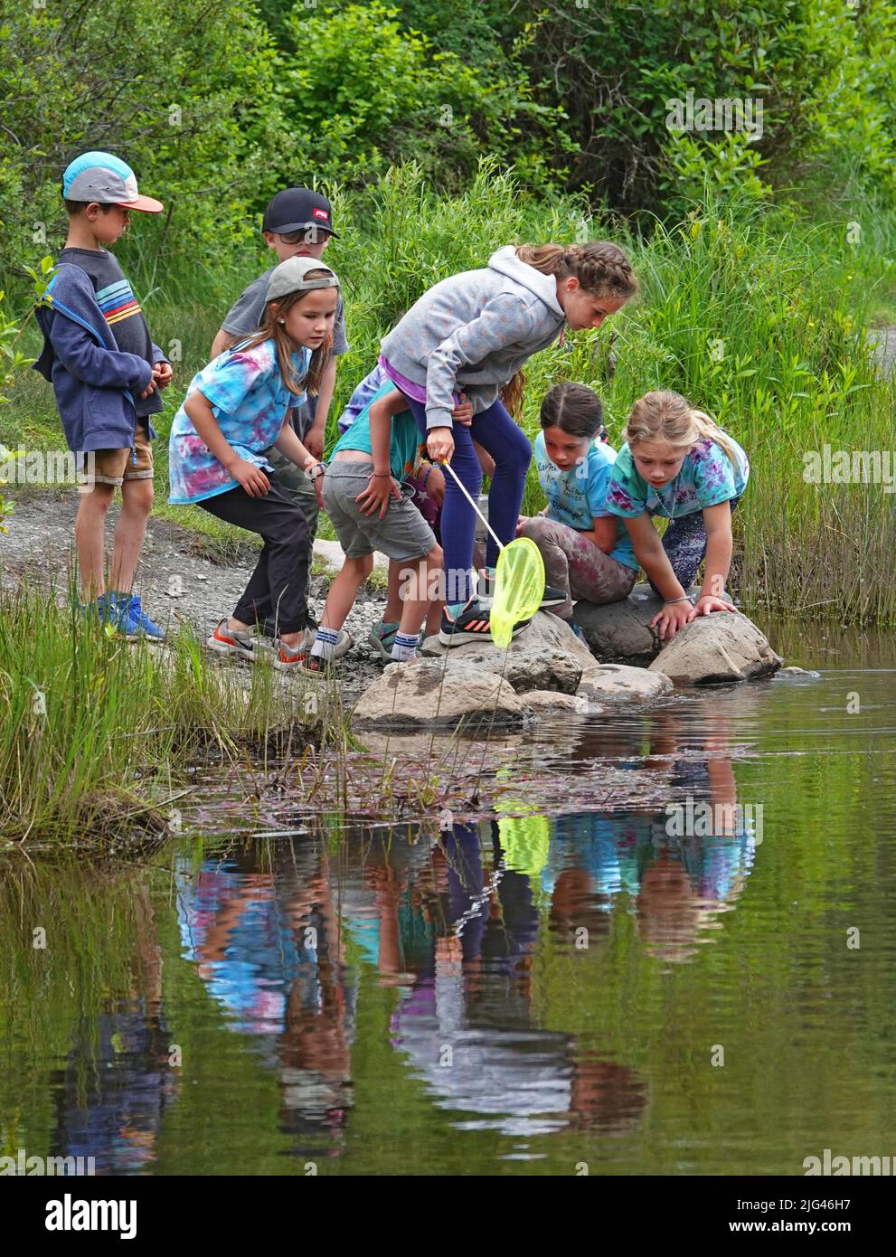 Un grupo de niños jugando en el borde de un pequeño estanque en un parque de la ciudad en Bend, Oregon. Foto de stock