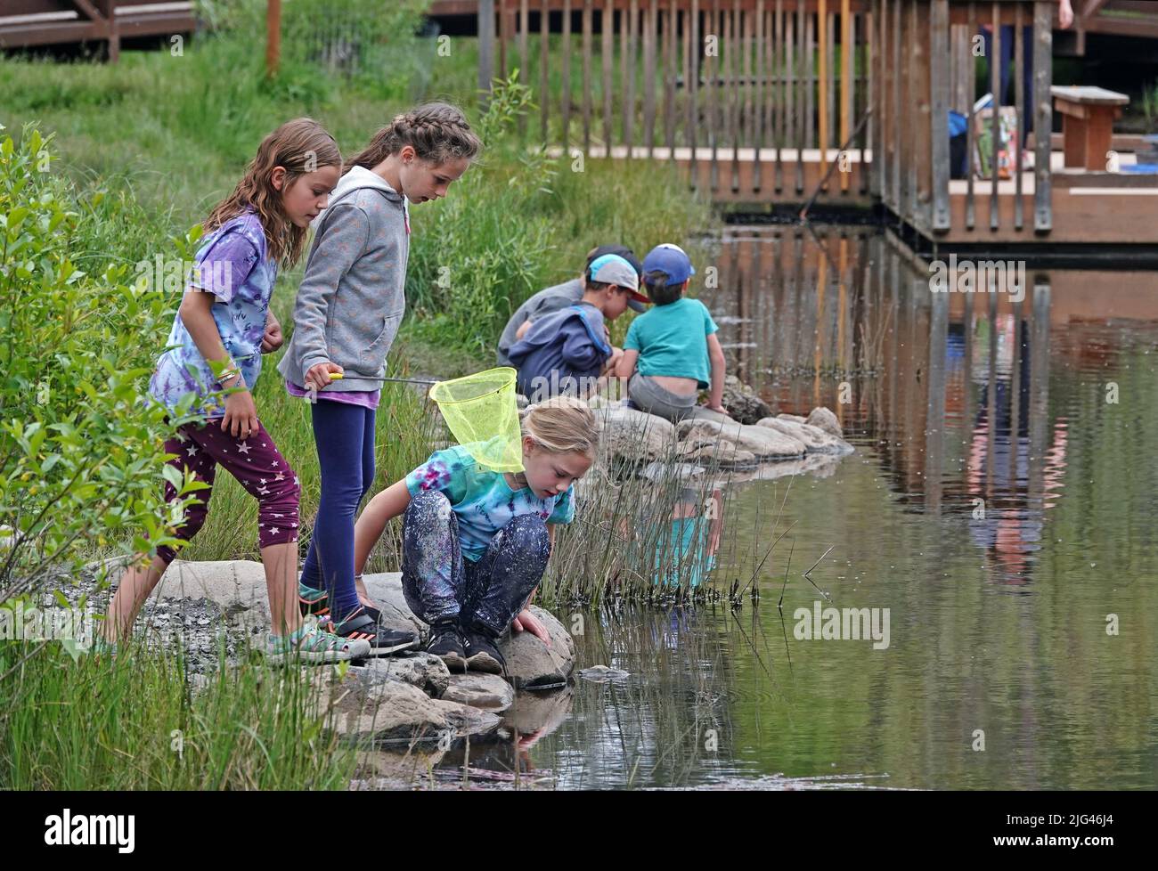 Un grupo de niños y niñas exploran y pescan alrededor de un pequeño estanque a principios del verano en Bend, Oregón. Foto de stock