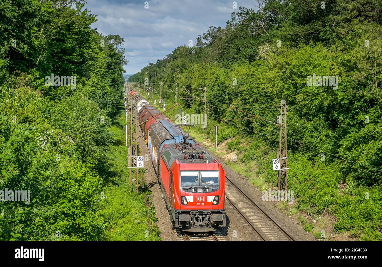 Güterzug, Stadtwald, Frankfurt am Main, Hessen, Alemania Foto de stock