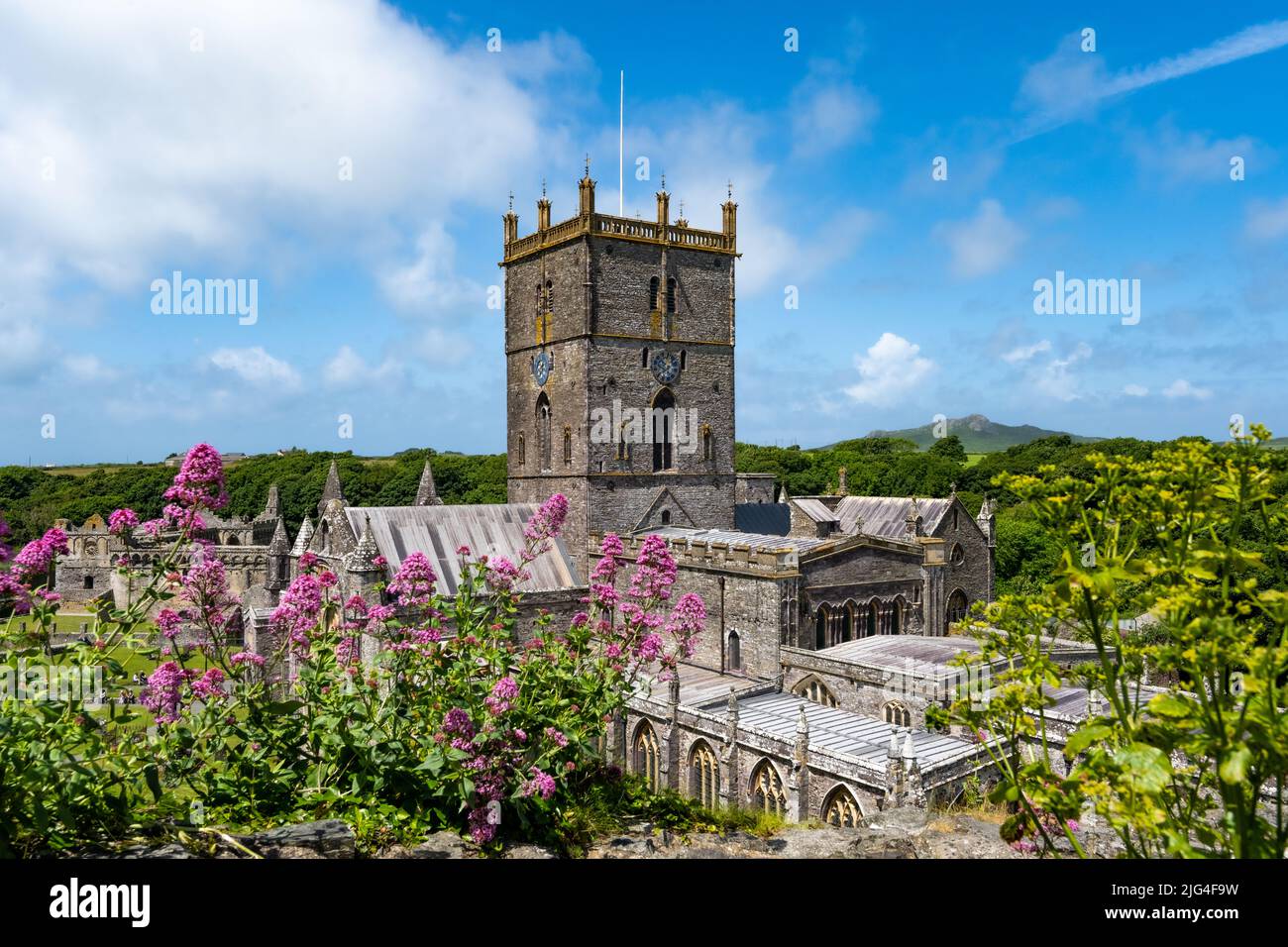 St David's Cathedral, en la ciudad más pequeña de Gran Bretaña, St Davids, Pembrokeshire, Gales, Reino Unido Foto de stock