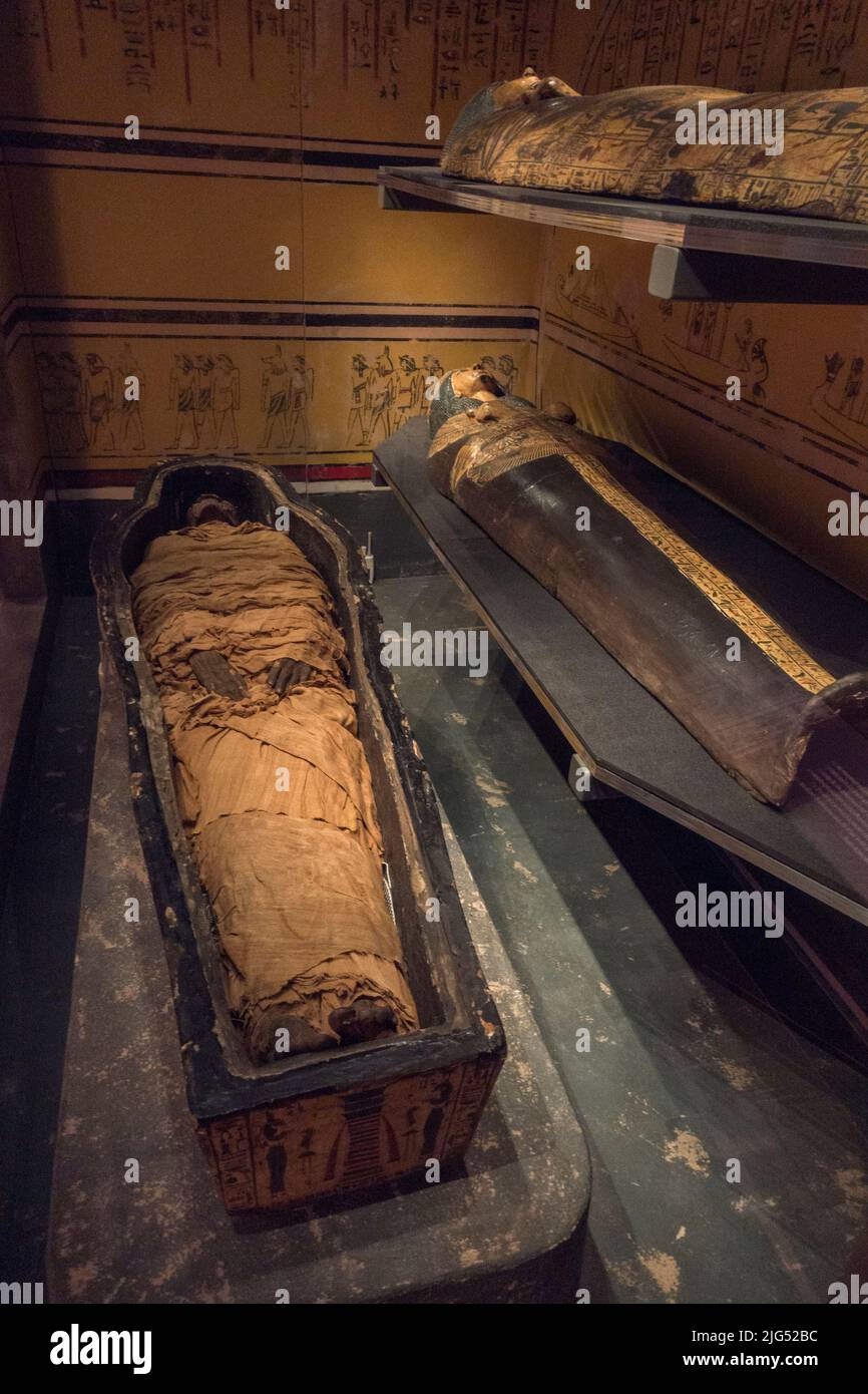 Antiguas momias egipcias en exhibición en el Reino Unido. Foto de stock