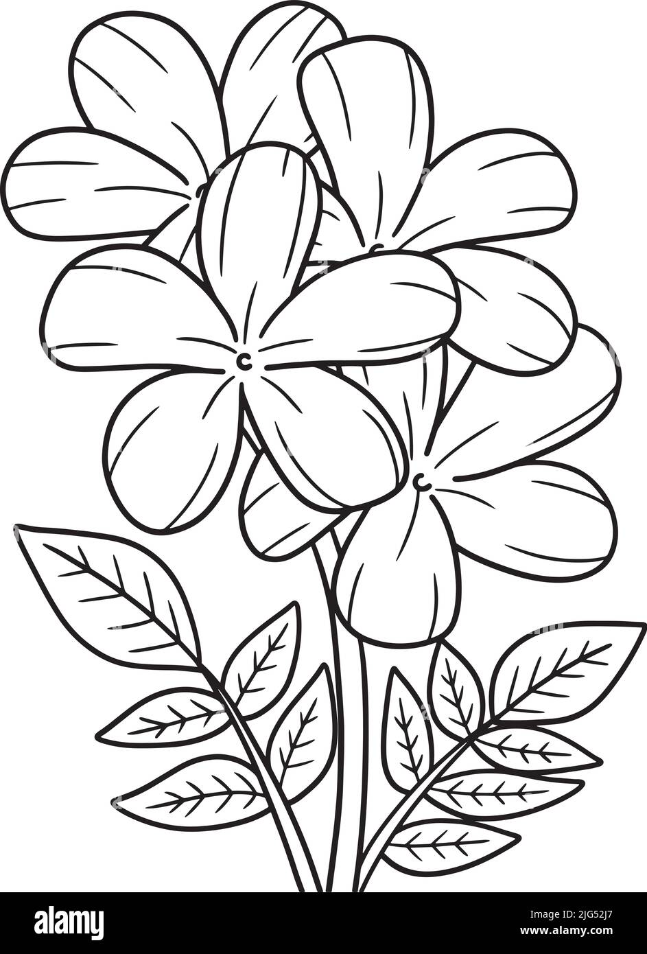 Flor de jazmín Imágenes vectoriales de stock - Alamy