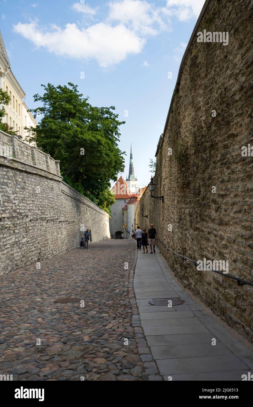 Tallin, Estonia. 2022 de julio. Vista de la carretera que sube la colina de Toompea en el casco antiguo Foto de stock