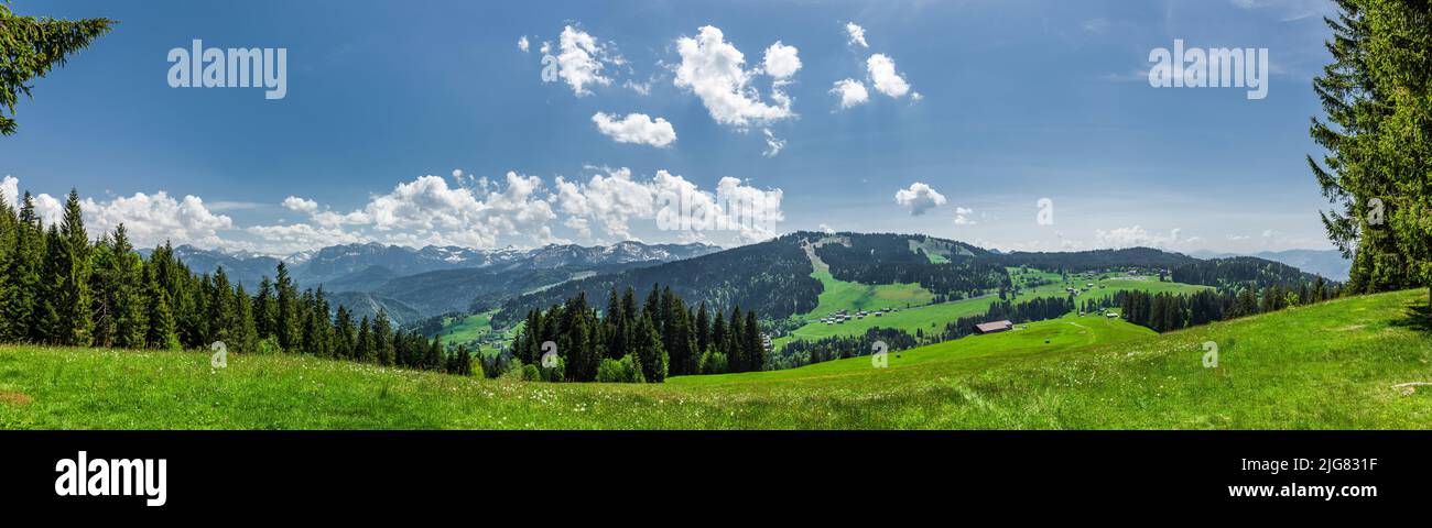 Paisaje en el bosque de Bregenz en Vorarlberg, Austria Foto de stock