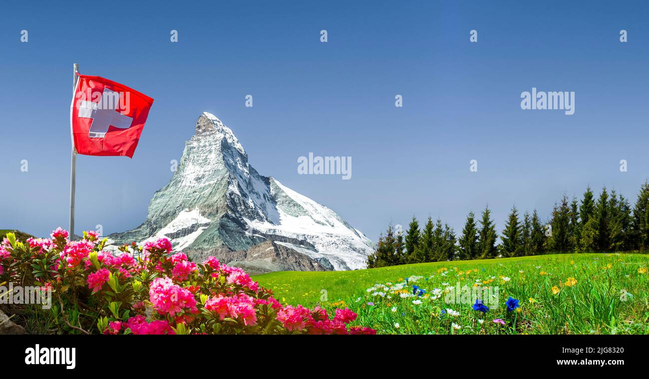 Bandera suiza con Matterhorn y prado de montaña Foto de stock