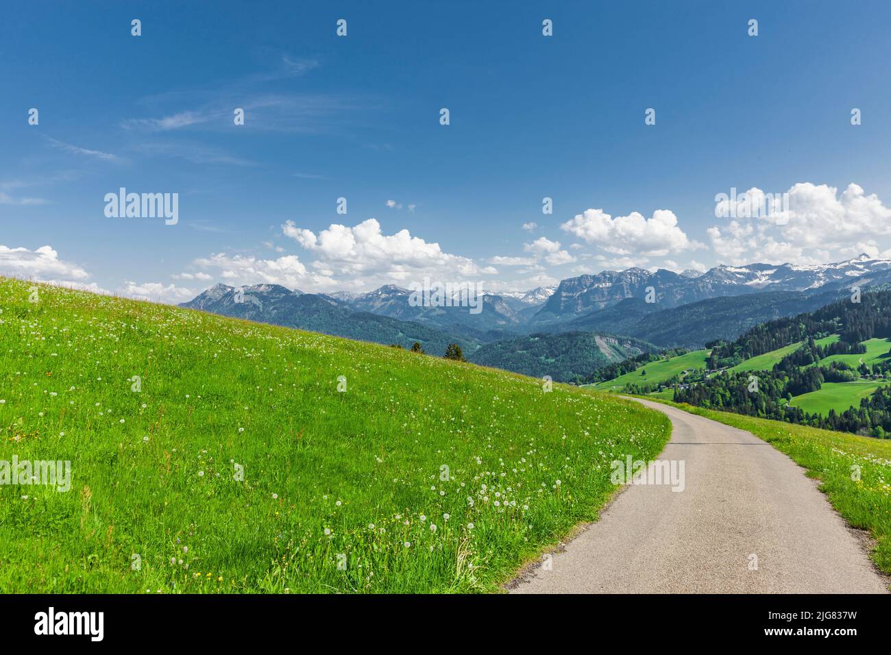 Ruta de senderismo en el bosque de Bregenz en Vorarlberg Foto de stock