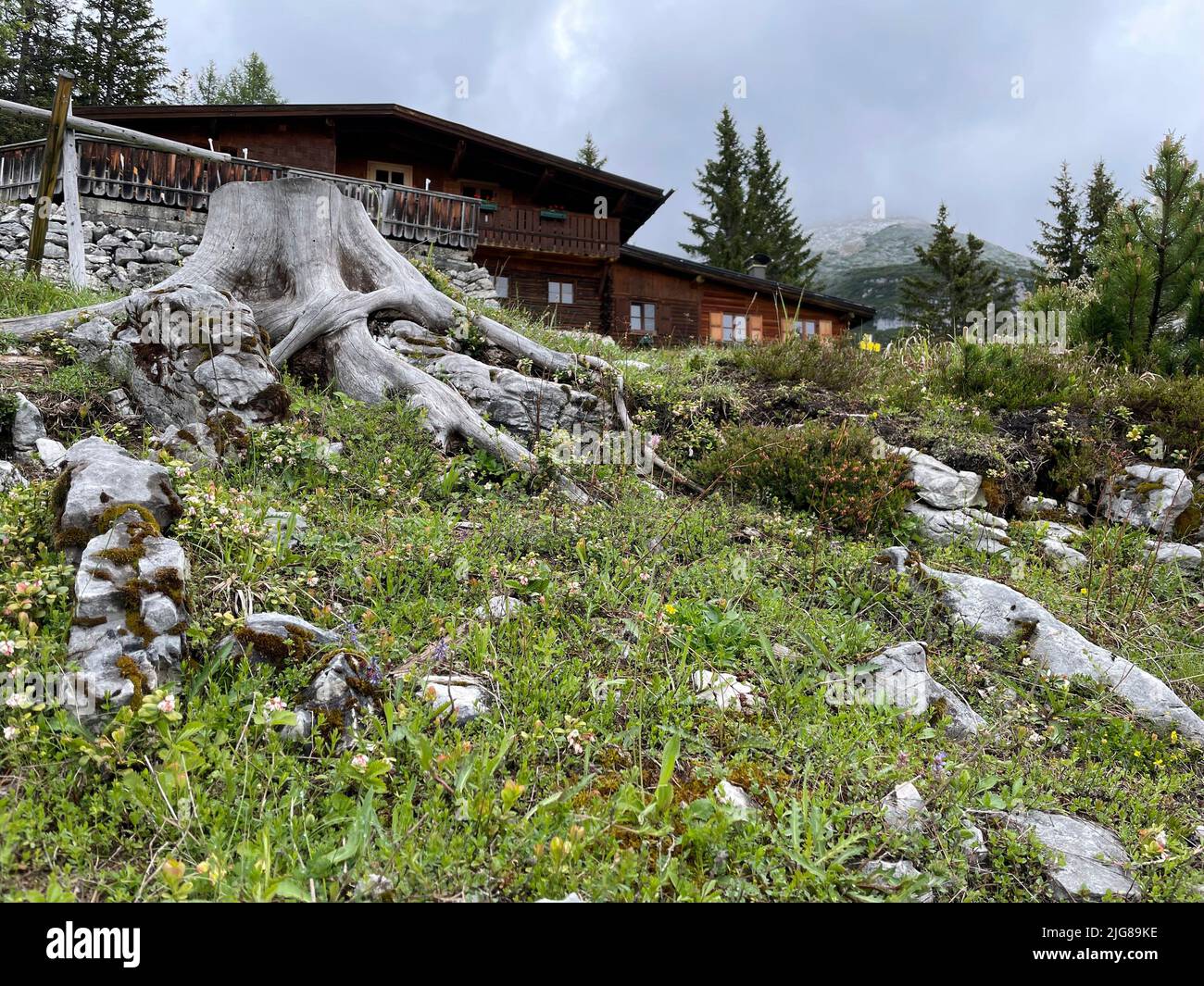 Pelicula La Cabaña En El Tirol