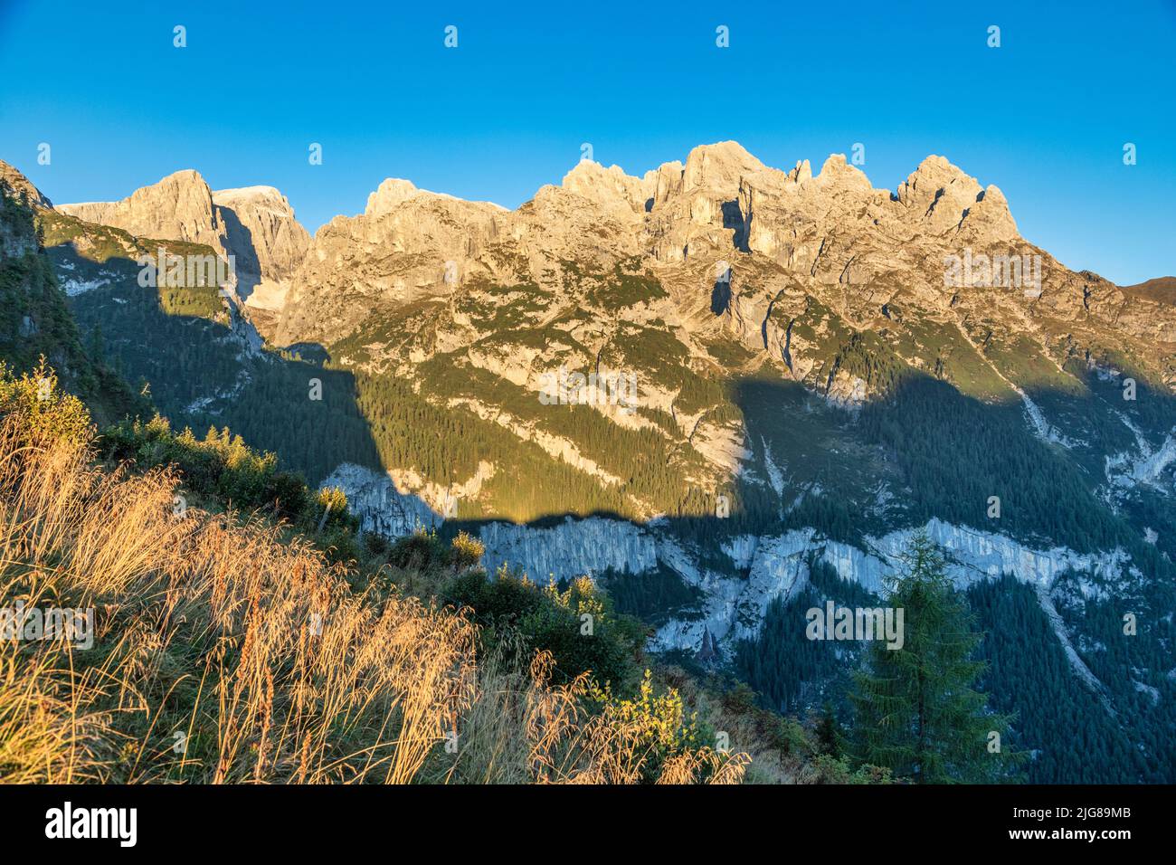 Italia, Véneto, Gares, Canale d'Agordo, vista matutina del Pale di San Martino, Dolomitas Foto de stock