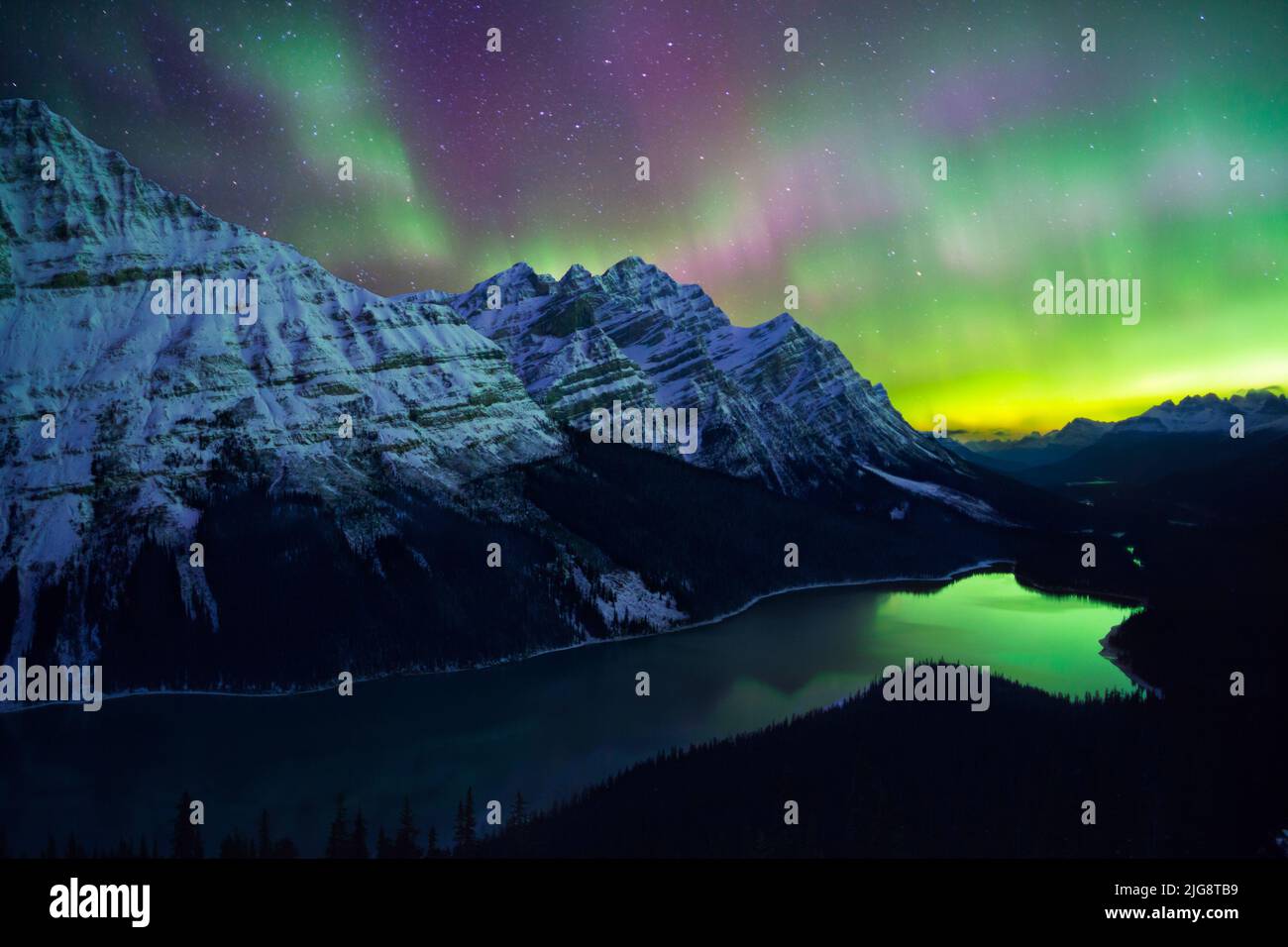 Northern Lights (Aurora Boreal) sobre el lago Peyto, Parque Nacional Banff, Alberta, Canadá Foto de stock