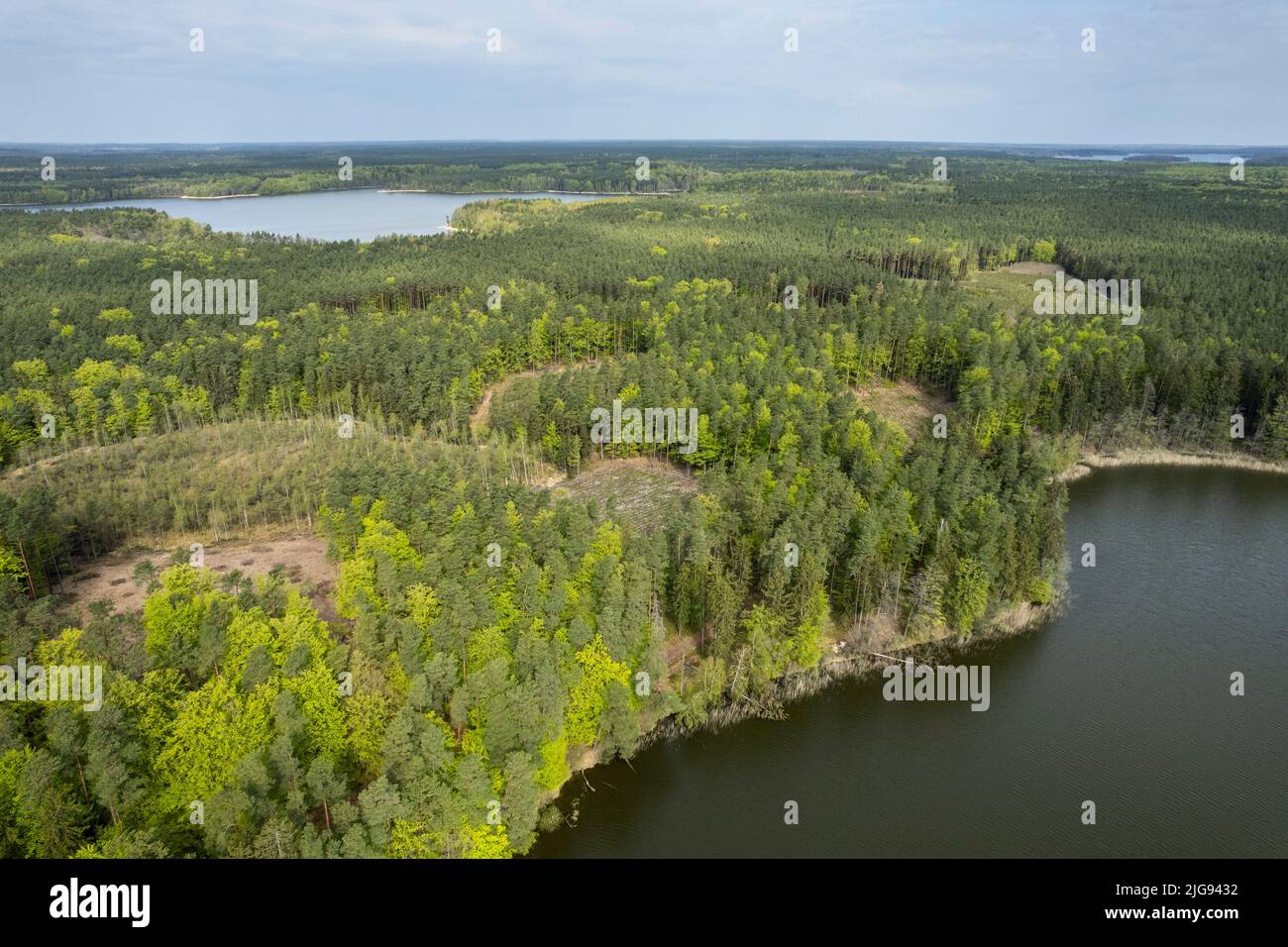 Europa, Polonia, Voivodato Warmiano-Masuriano, lago Jeziorak Foto de stock