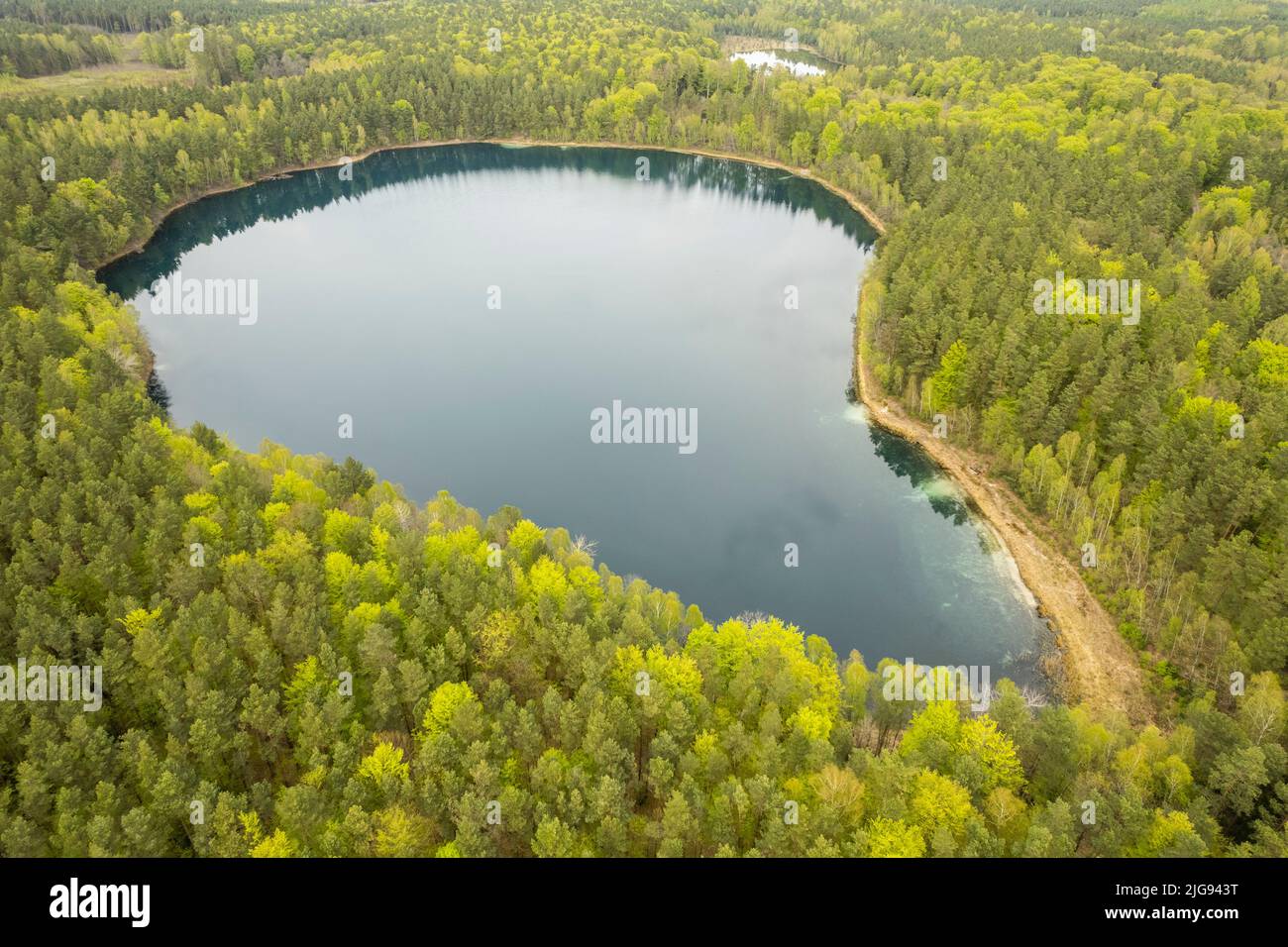 Europa, Polonia, Voivodato Warmiano-Masuriano, lago Jasne Foto de stock