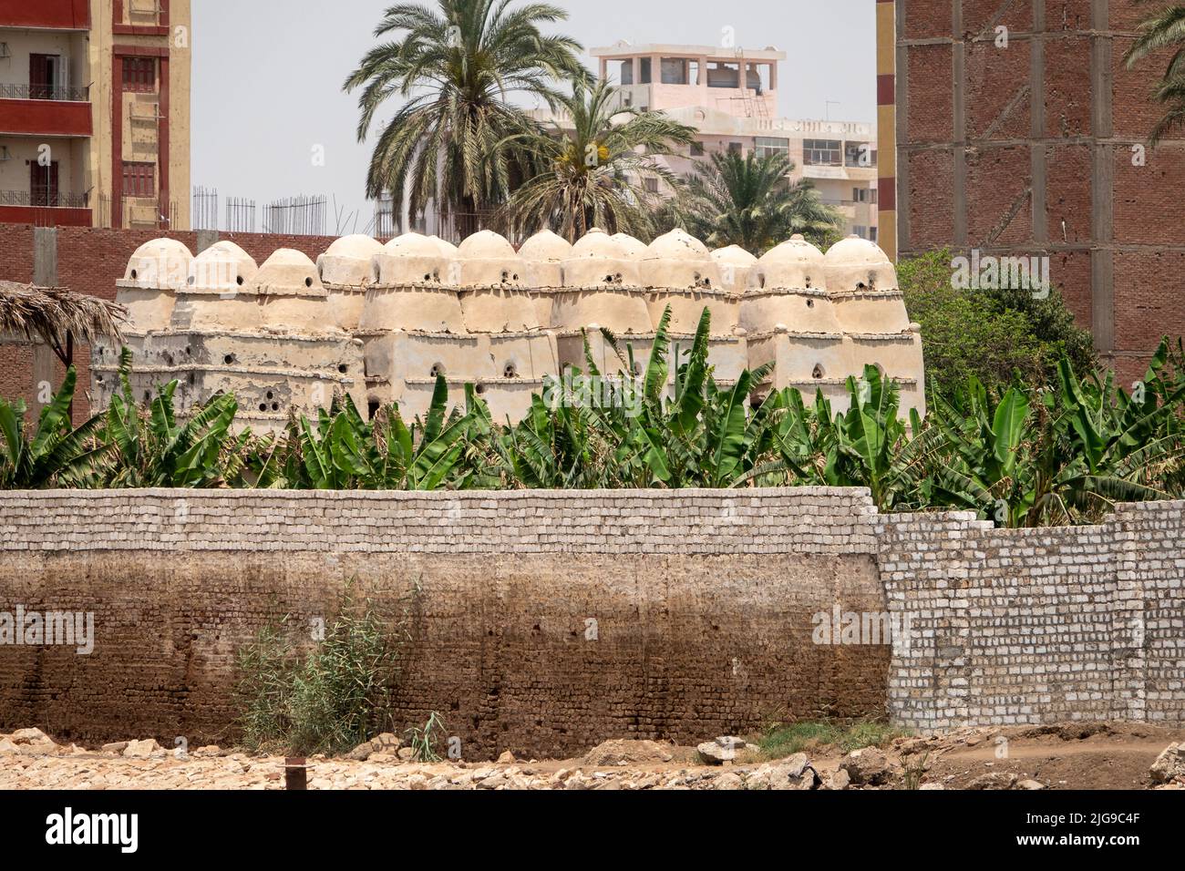 La propiedad doméstica y las casas de paloma en las orillas del río Nilo, Egipto Foto de stock