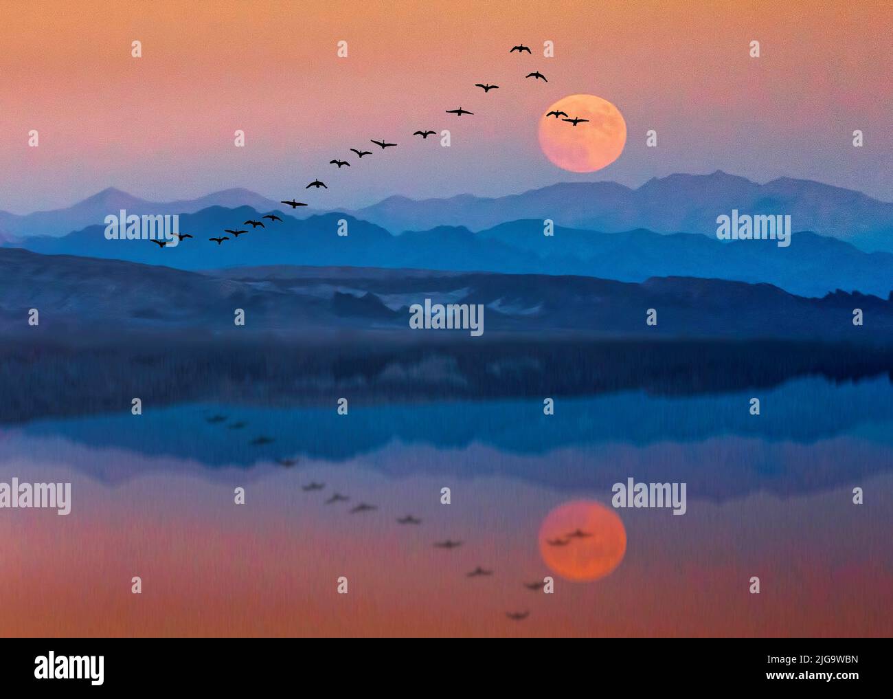 Los gansos migratorios se ven reflejados en un lago de montaña al atardecer en esta ilustración de 3. Foto de stock