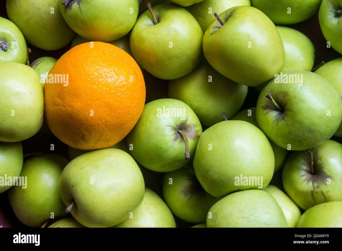 Una masa de manzanas verdes brillantes, con una sola naranja Foto de stock